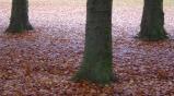 img004.jpeg.small.jpeg