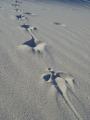 img002.jpeg.small.jpeg