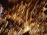 img010.jpeg.small.jpeg