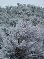 img014.jpeg.small.jpeg