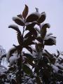 img025.jpeg.small.jpeg