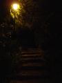 img006.jpeg.small.jpeg
