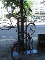 img032.jpeg.small.jpeg