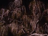 img010.jpeg.small.jpeg