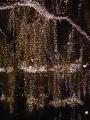 img011.jpeg.small.jpeg