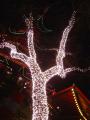 img036.jpeg.small.jpeg