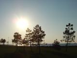 img011.jpeg.small.jpeg